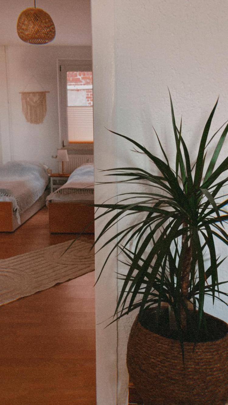 Ferienwohnung Nr. 1 Terrasse Bodden Kanu Bootssteg Zudar 외부 사진